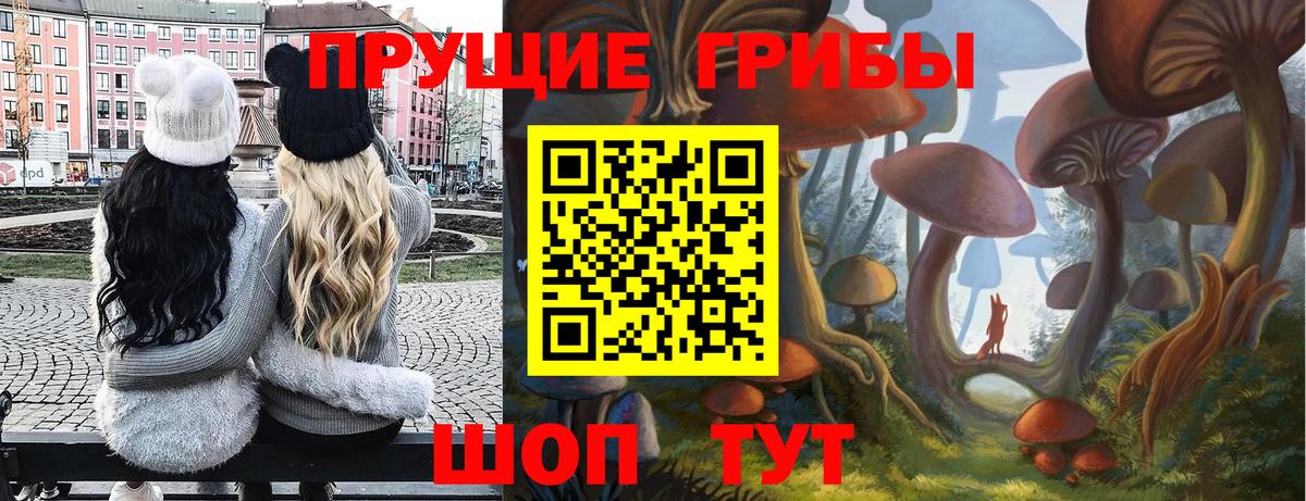 Псилоцибиновые грибы прущие грибы Губкинский