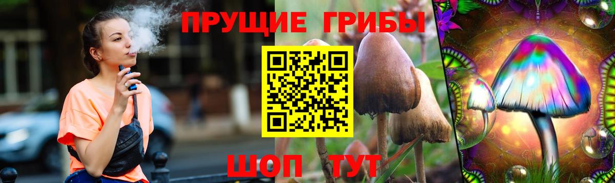 Губкинский  магазин продажи наркотиков  Вход с VPN  Псилоцибиновые грибы Psilocybe  Псилоцибиновые грибы мухоморы 